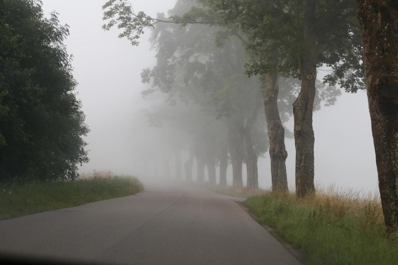 Slowinskie Widoki Domki Flora, Fauna, Noclegi Smoldzinski Las Esterno foto