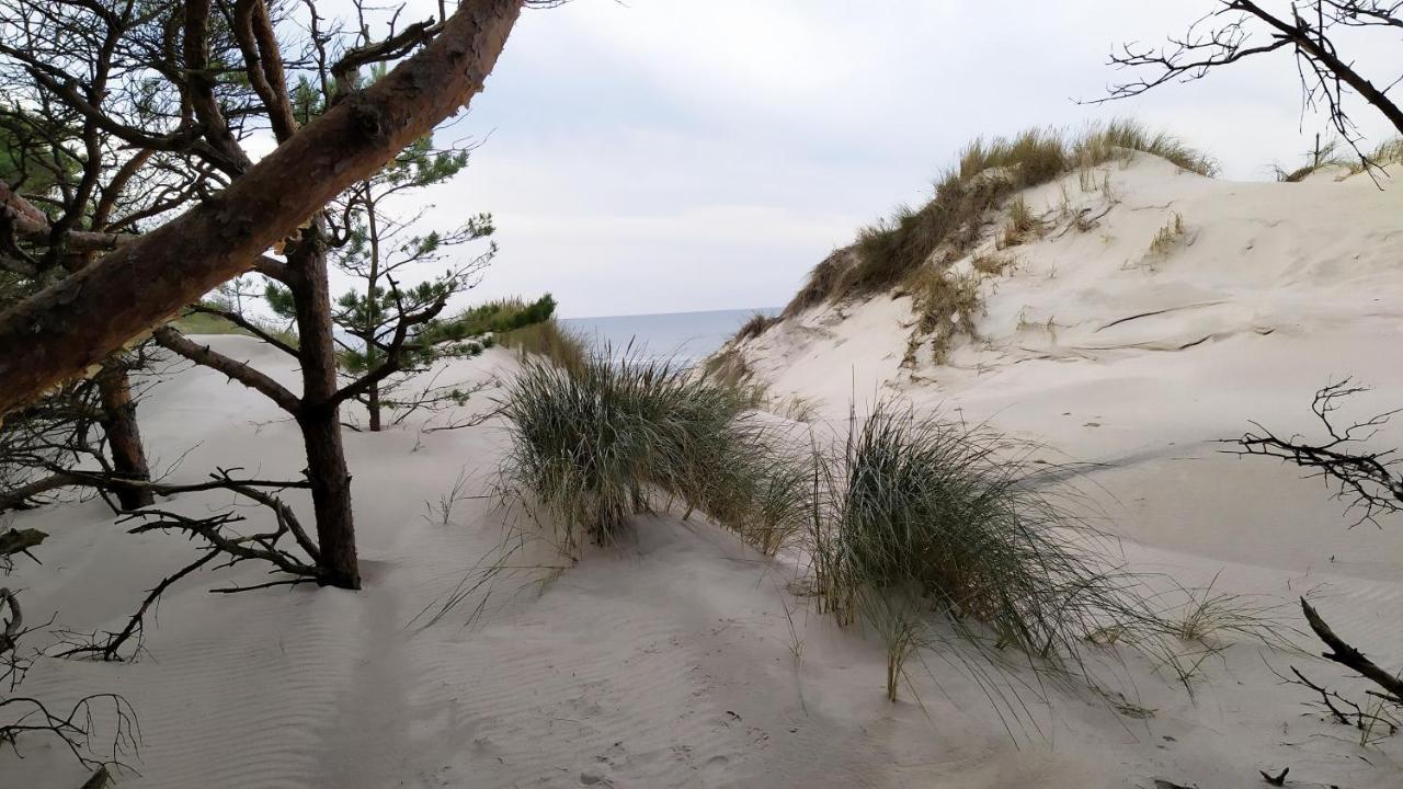 Slowinskie Widoki Domki Flora, Fauna, Noclegi Smoldzinski Las Esterno foto