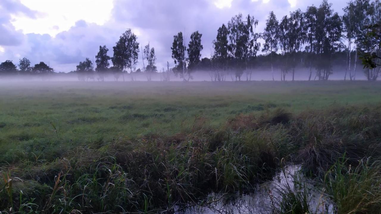 Slowinskie Widoki Domki Flora, Fauna, Noclegi Smoldzinski Las Esterno foto