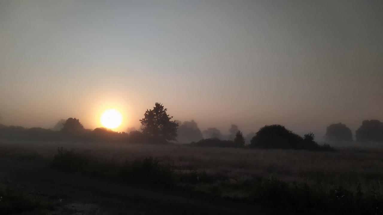 Slowinskie Widoki Domki Flora, Fauna, Noclegi Smoldzinski Las Esterno foto
