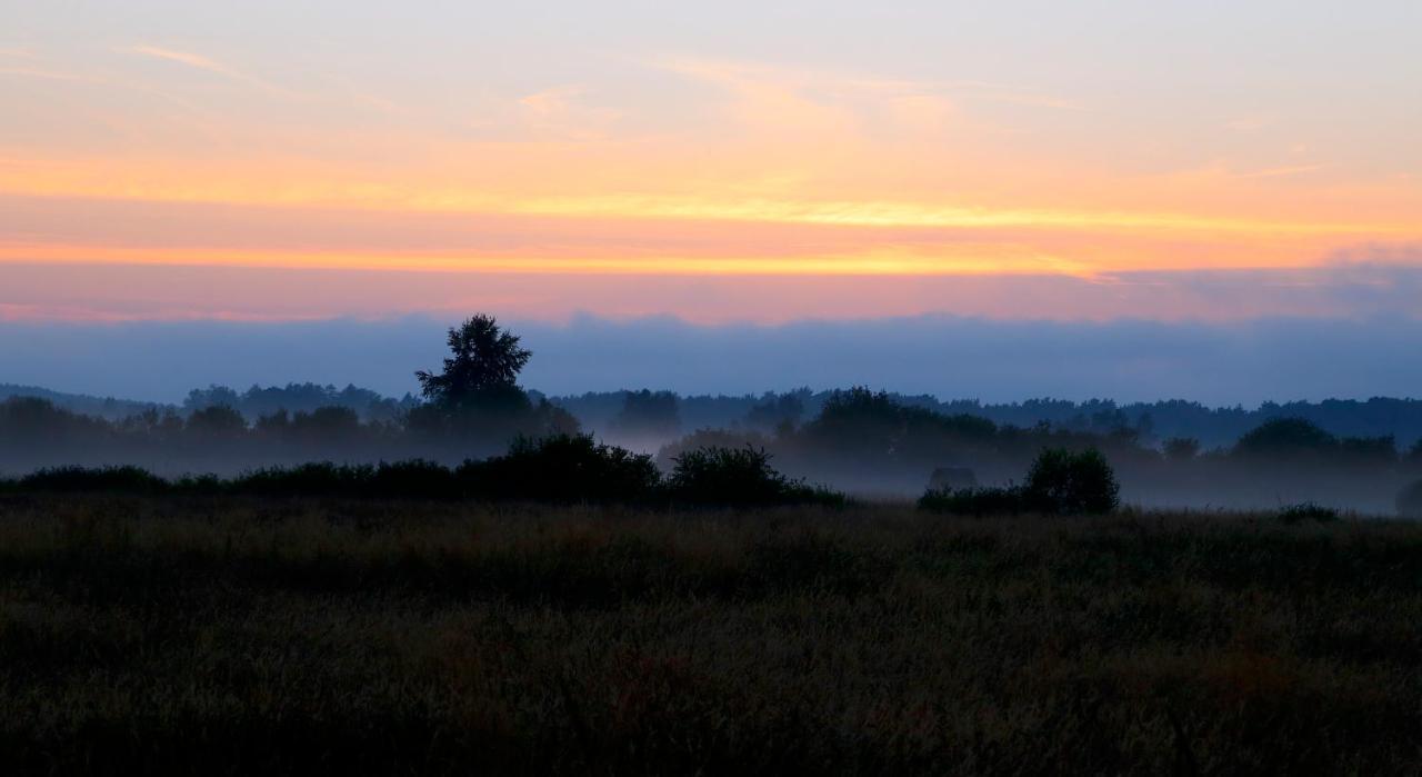 Slowinskie Widoki Domki Flora, Fauna, Noclegi Smoldzinski Las Esterno foto