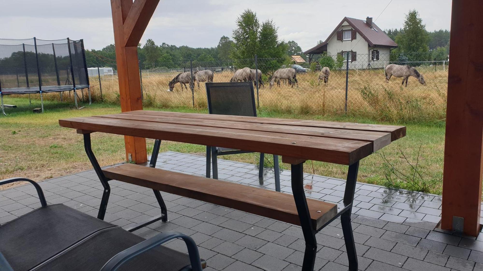 Slowinskie Widoki Domki Flora, Fauna, Noclegi Smoldzinski Las Esterno foto