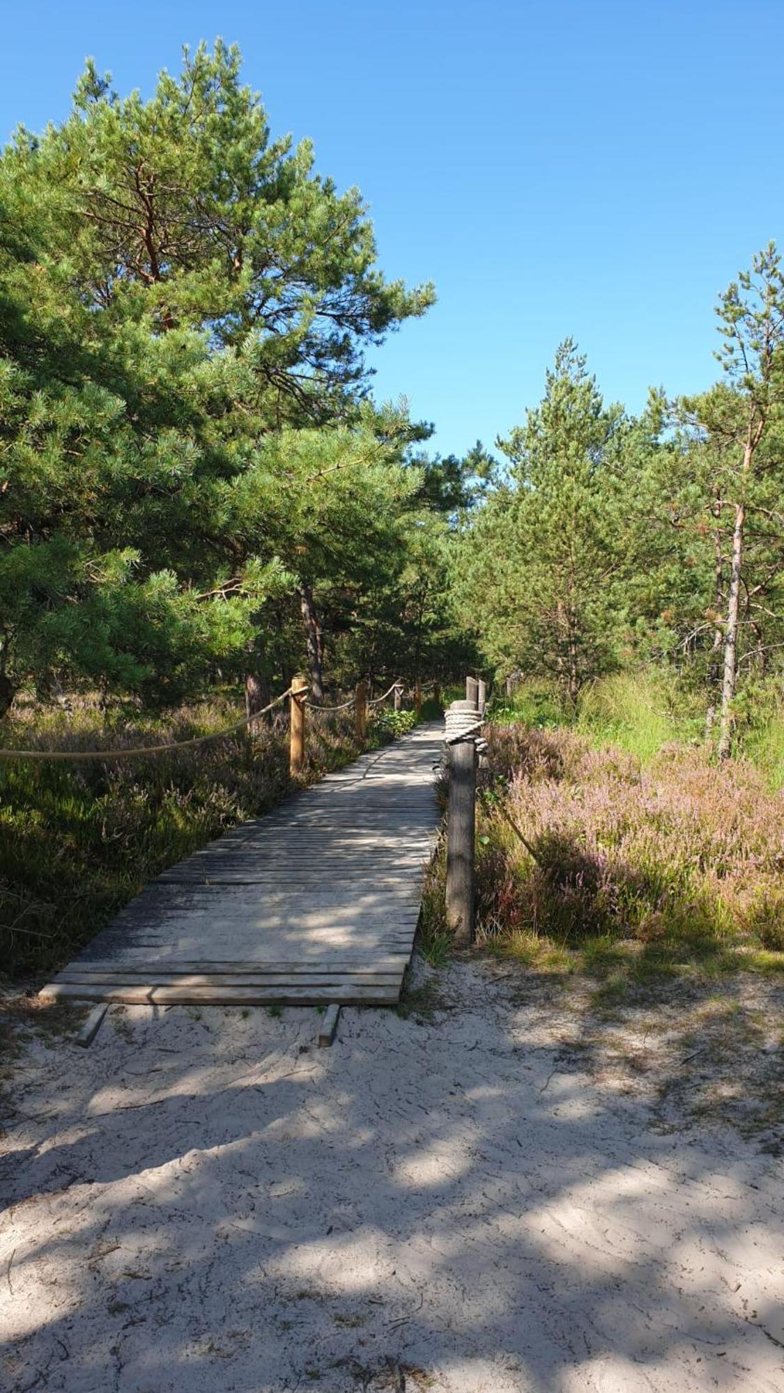 Slowinskie Widoki Domki Flora, Fauna, Noclegi Smoldzinski Las Esterno foto